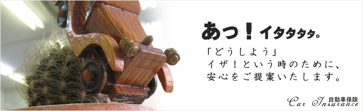 ی̊UjIԕی̂ƂȂ疼É̃J_ی