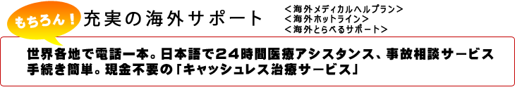 VECOsیIt͏[̊COT|[głB