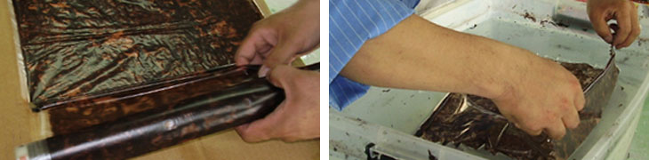 これが転写するイージーグラフィックスのフィルムです。