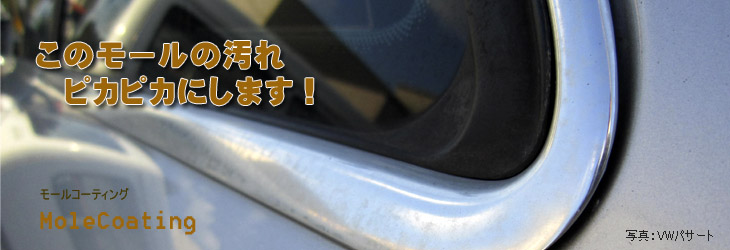 モールに付いた白い斑点、くすみは、モール磨きモールコーティングでスッキリ!