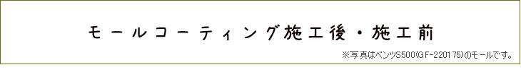 モールコーティング施工例