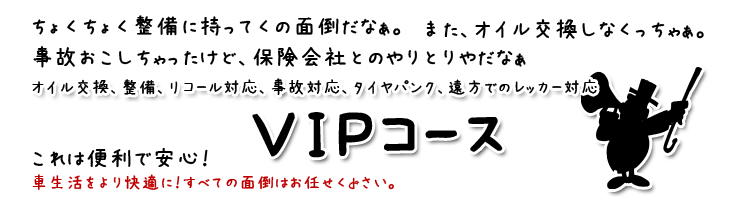VIPԌR[X