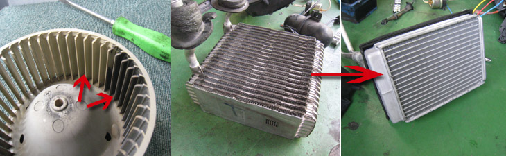 ̌̓t@q[^[RAAGo|[^[ł